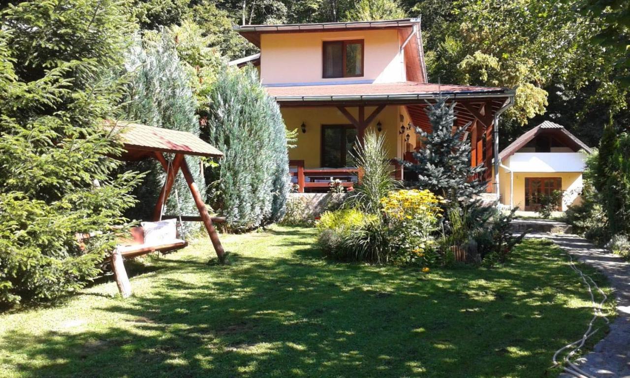 Villa Treehouse Padurea Neagra Exterior foto